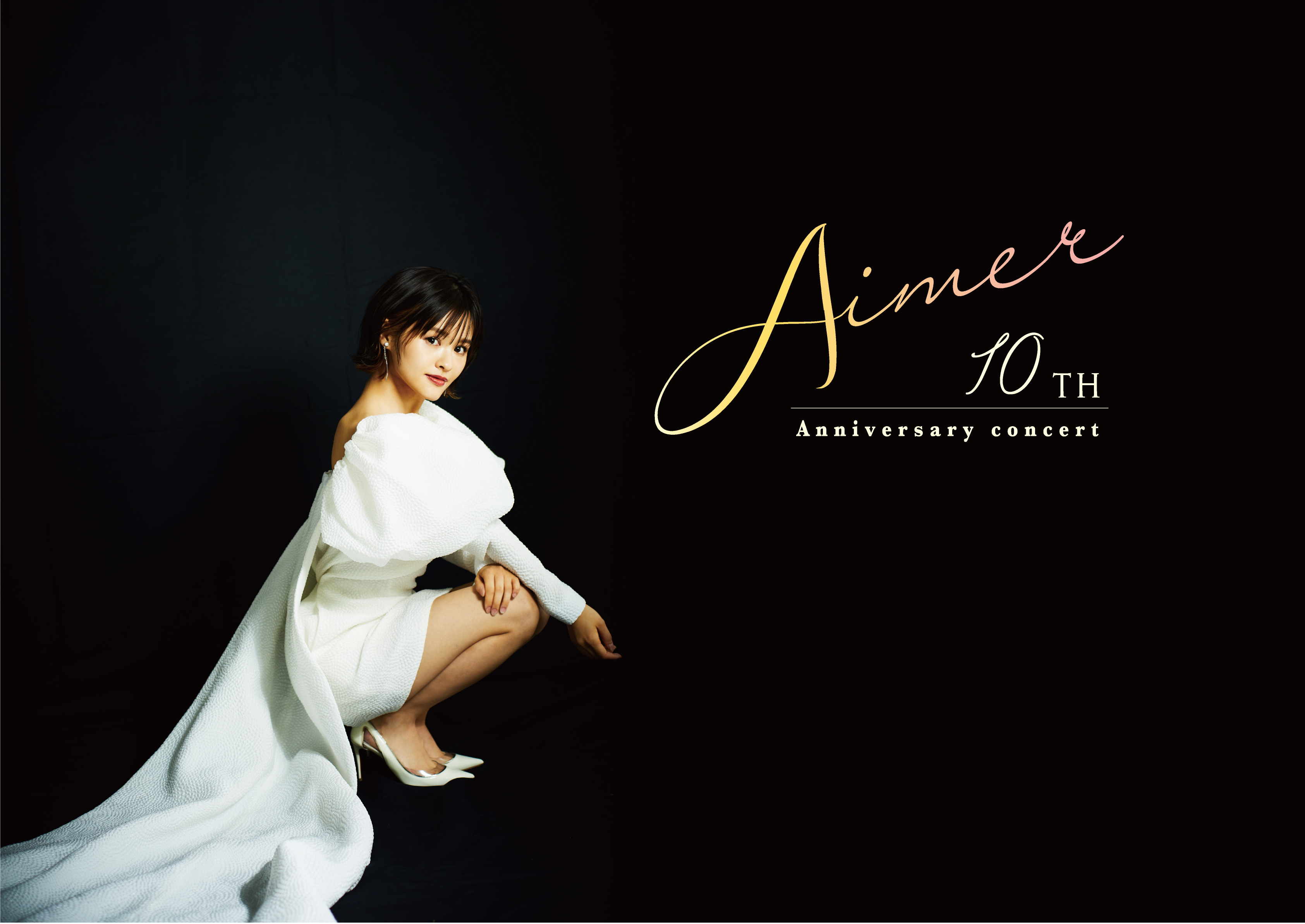 美品☆超希少☆電池あり】2021年 Aimerさん 10周年記念ライブ ライト